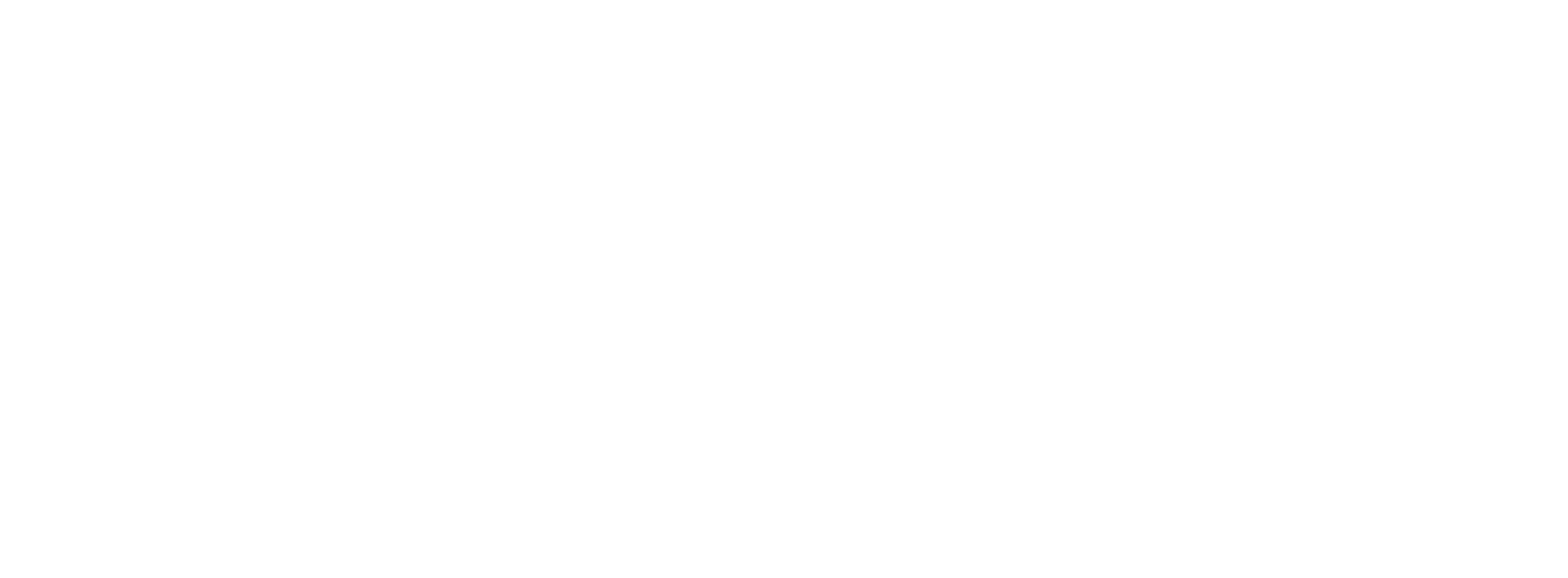 IBM Security logo