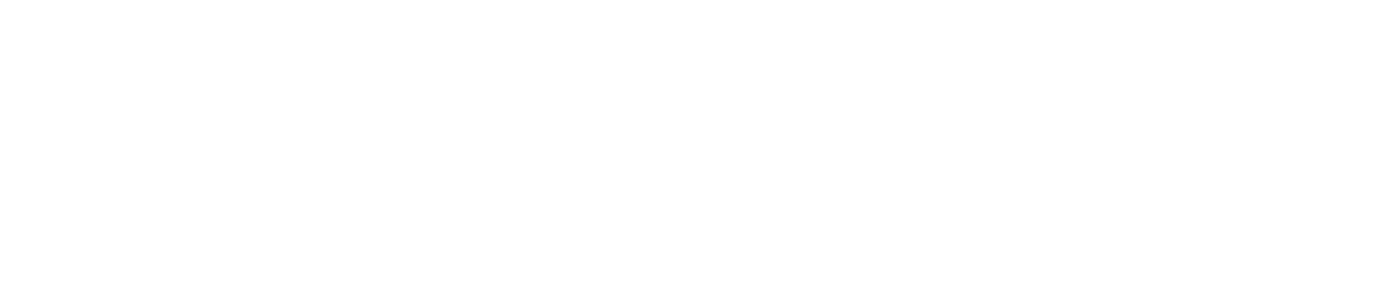 Panduit logo